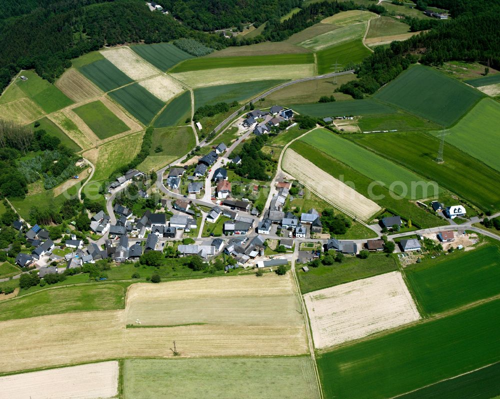 Aerial photograph Thörlingen - Agricultural land and field boundaries surround the settlement area of the village in Thörlingen in the state Rhineland-Palatinate, Germany