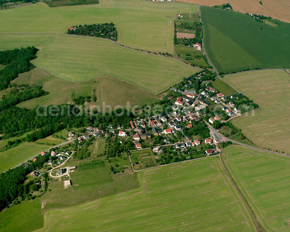 Aerial photograph Thränitz - Agricultural land and field boundaries surround the settlement area of the village in Thränitz in the state Thuringia, Germany