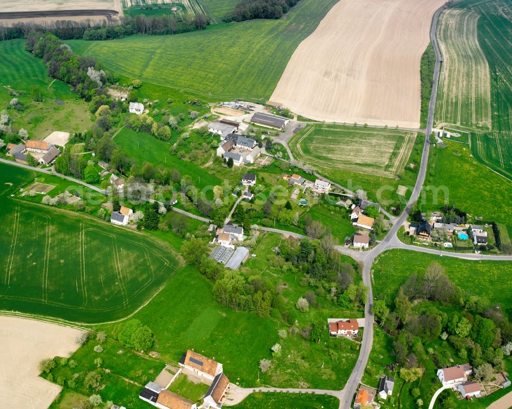 Topfseifersdorf from the bird's eye view: Agricultural land and field boundaries surround the settlement area of the village in Topfseifersdorf in the state Saxony, Germany