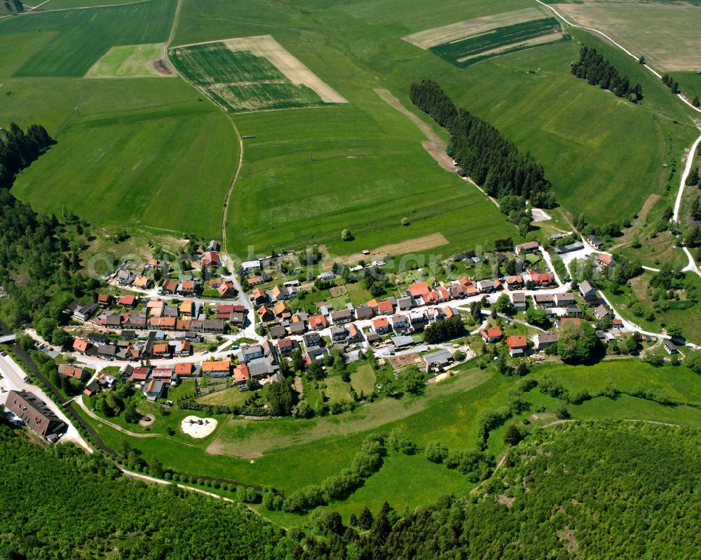 Trautenstein from above - Agricultural land and field boundaries surround the settlement area of the village in Trautenstein in the state Saxony-Anhalt, Germany