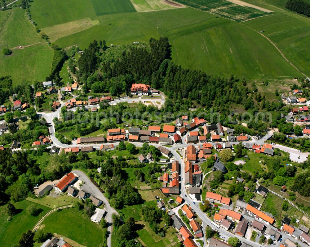 Trautenstein from the bird's eye view: Agricultural land and field boundaries surround the settlement area of the village in Trautenstein in the state Saxony-Anhalt, Germany