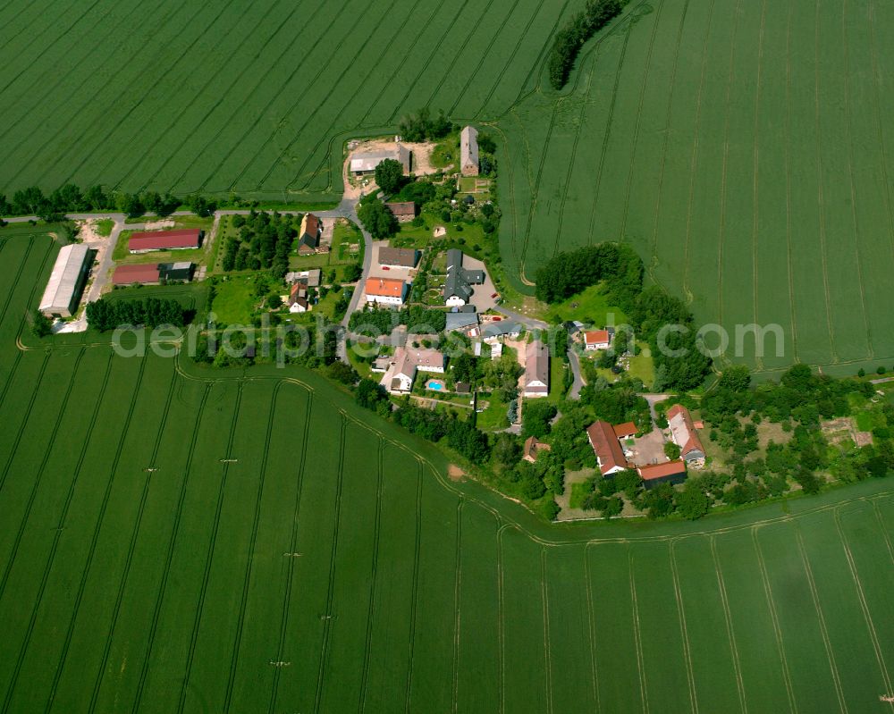 Treben from the bird's eye view: Agricultural land and field boundaries surround the settlement area of the village in Treben in the state Saxony, Germany