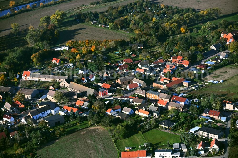 Aerial photograph Trebnitz - Agricultural land and field boundaries surround the settlement area of the village in Trebnitz in the state Saxony-Anhalt, Germany