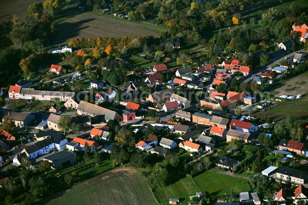 Trebnitz from above - Agricultural land and field boundaries surround the settlement area of the village in Trebnitz in the state Saxony-Anhalt, Germany