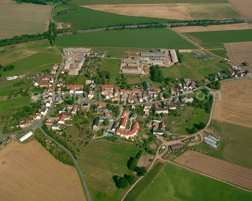 Trebnitz from the bird's eye view: Agricultural land and field boundaries surround the settlement area of the village in Trebnitz in the state Thuringia, Germany