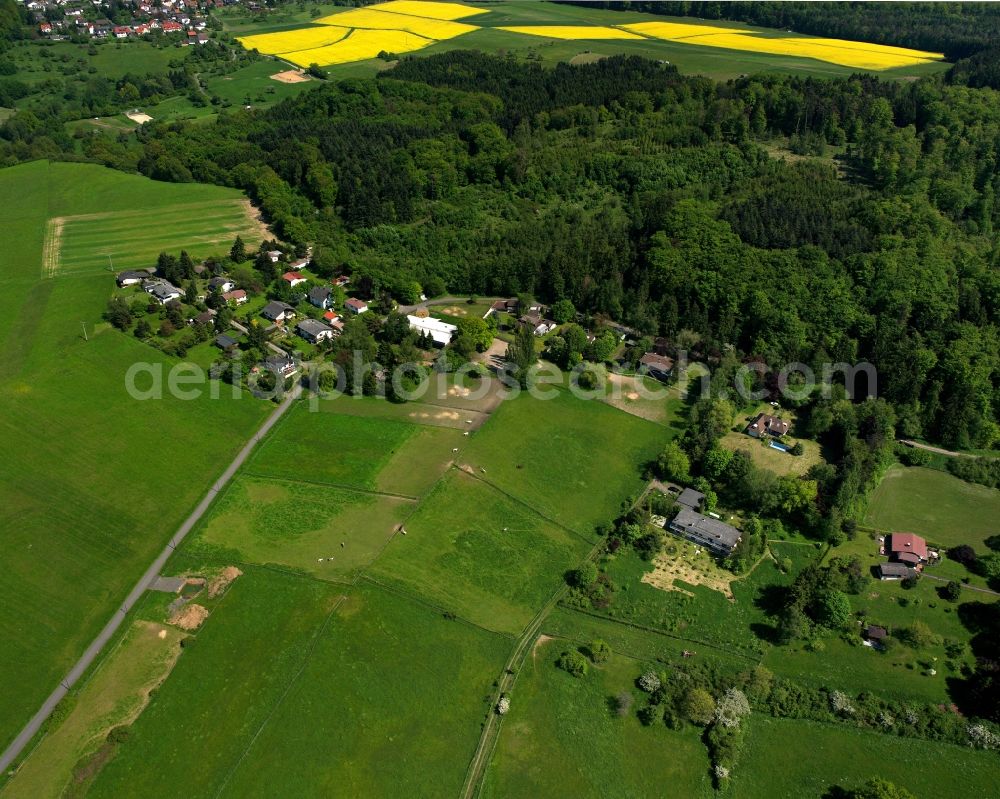 Treis from the bird's eye view: Agricultural land and field boundaries surround the settlement area of the village in Treis in the state Hesse, Germany