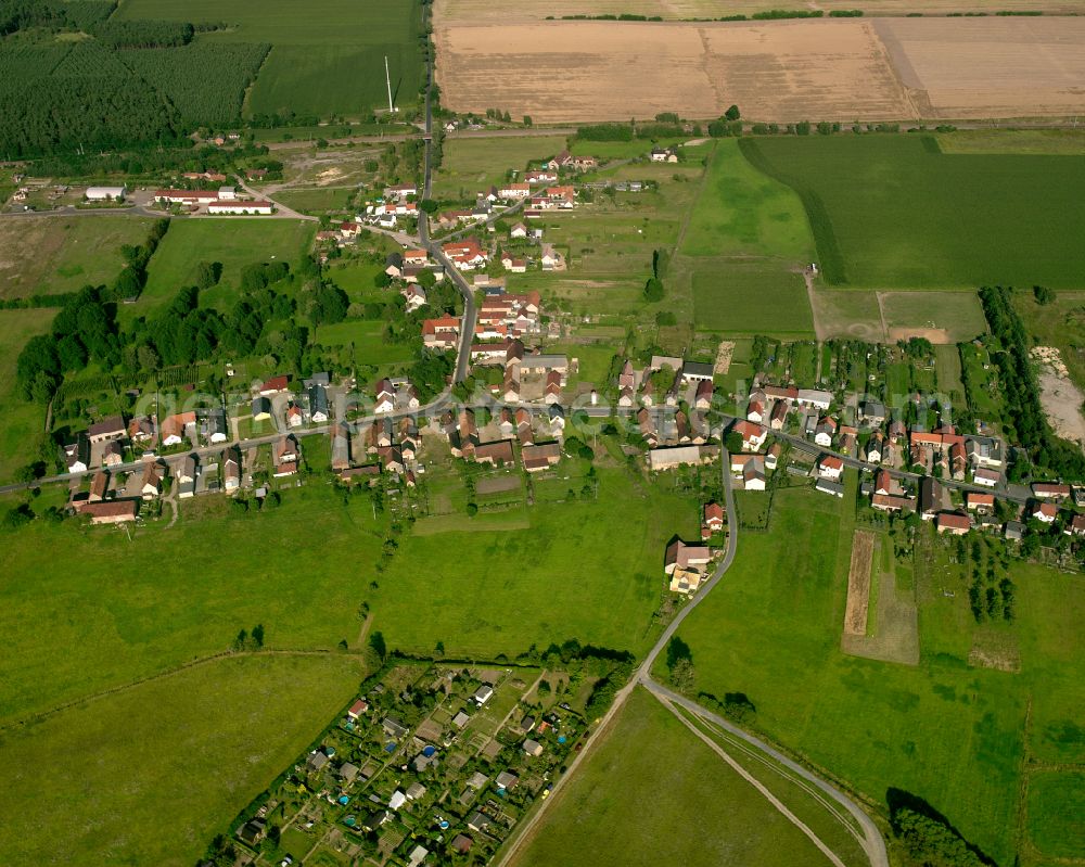 Aerial image Treugeböhla - Agricultural land and field boundaries surround the settlement area of the village in Treugeböhla in the state Saxony, Germany