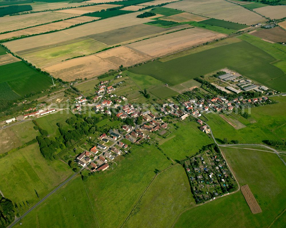 Aerial photograph Treugeböhla - Agricultural land and field boundaries surround the settlement area of the village in Treugeböhla in the state Saxony, Germany