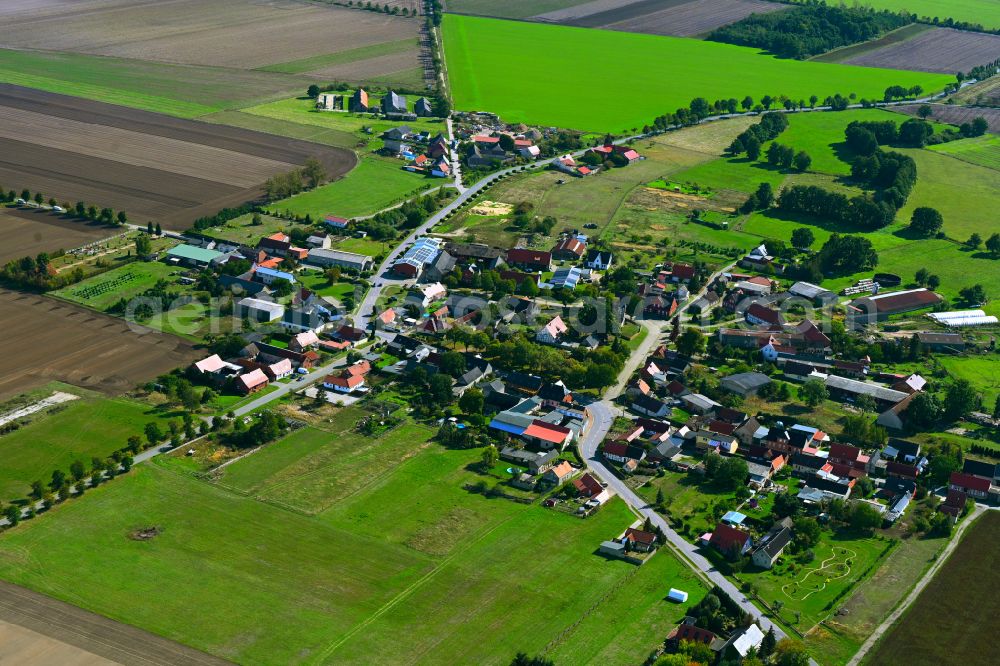 Aerial image Trippigleben - Agricultural land and field boundaries surround the settlement area of the village in Trippigleben in the state Saxony-Anhalt, Germany