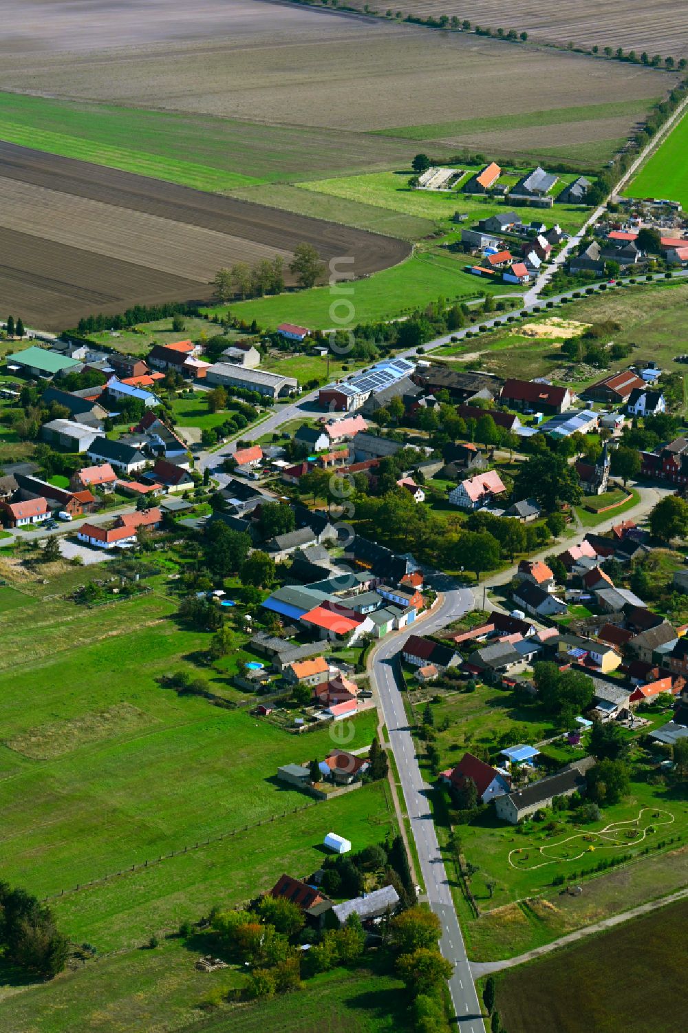 Aerial photograph Trippigleben - Agricultural land and field boundaries surround the settlement area of the village in Trippigleben in the state Saxony-Anhalt, Germany