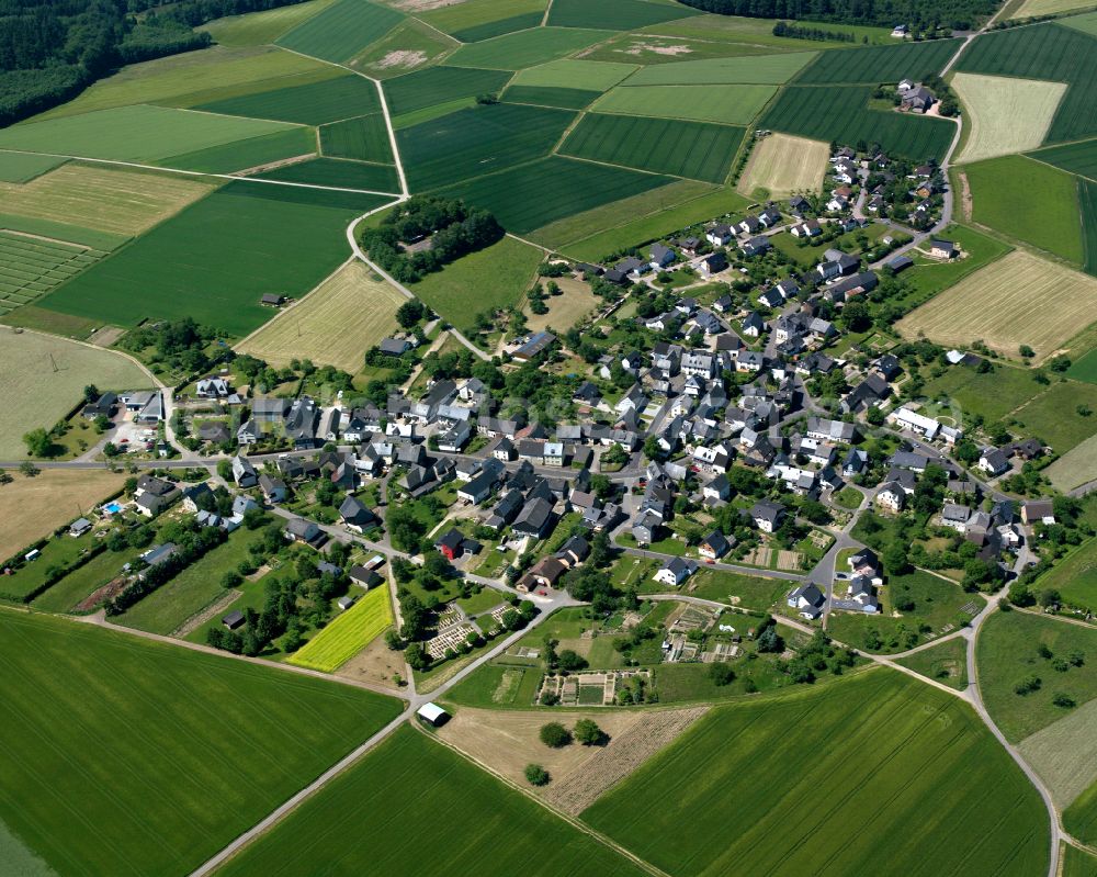 Aerial photograph Uhler - Agricultural land and field boundaries surround the settlement area of the village in Uhler in the state Rhineland-Palatinate, Germany