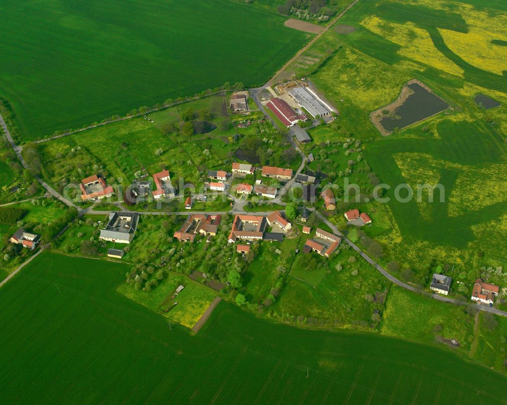 Uhlersdorf from the bird's eye view: Agricultural land and field boundaries surround the settlement area of the village in Uhlersdorf in the state Thuringia, Germany