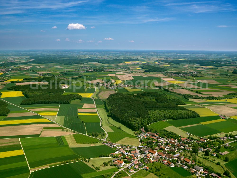 Uttenweiler from above - Agricultural land and field boundaries surround the settlement area of the village in Uttenweiler in the state Baden-Wuerttemberg, Germany