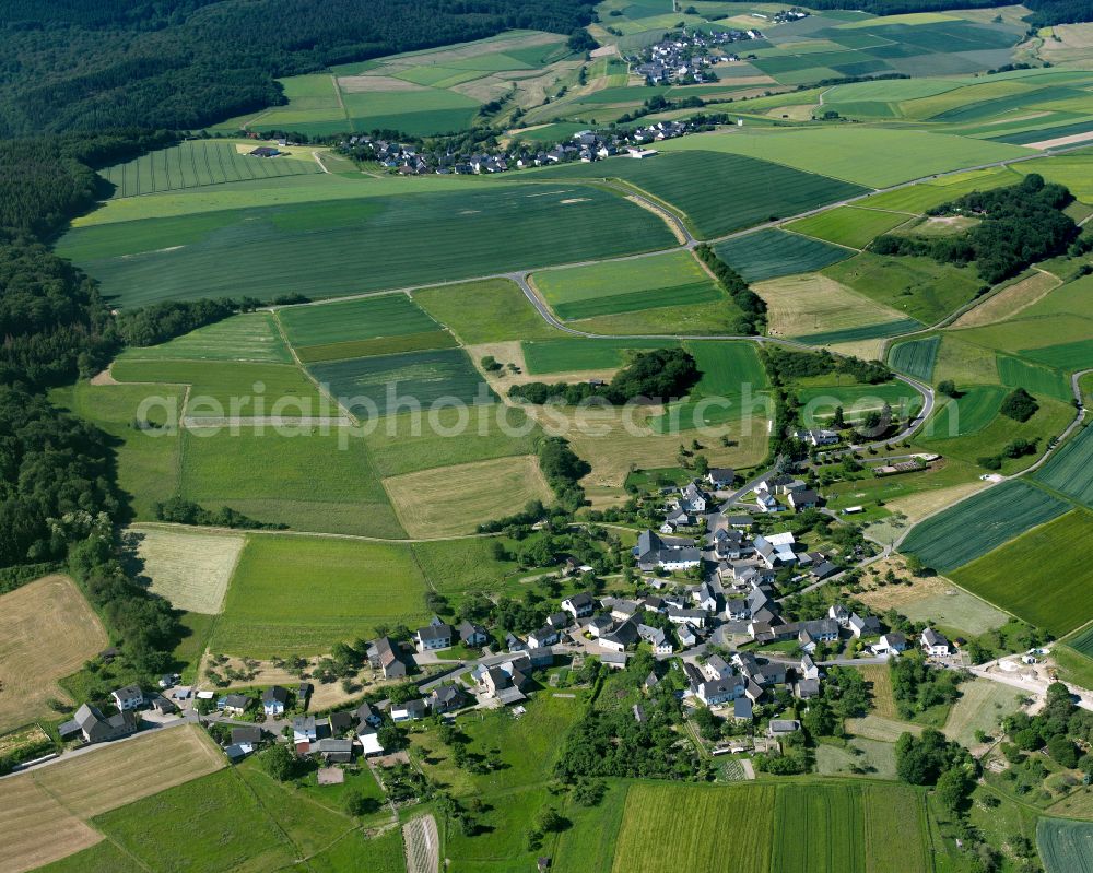 Aerial photograph Utzenhain - Agricultural land and field boundaries surround the settlement area of the village in Utzenhain in the state Rhineland-Palatinate, Germany