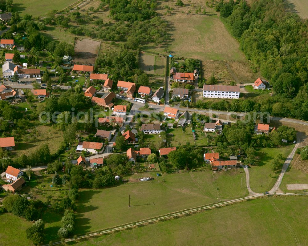 Vienenburg from the bird's eye view: Agricultural land and field boundaries surround the settlement area of the village in Vienenburg in the state Saxony-Anhalt, Germany