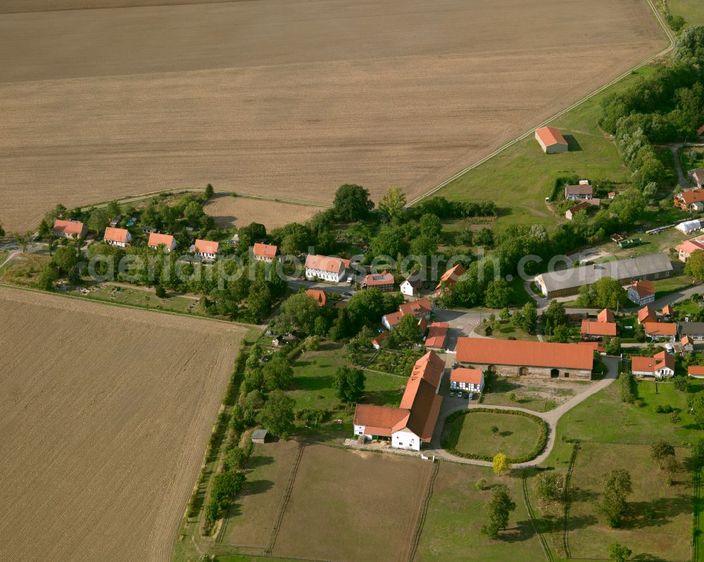 Aerial photograph Vienenburg - Agricultural land and field boundaries surround the settlement area of the village in Vienenburg in the state Saxony-Anhalt, Germany