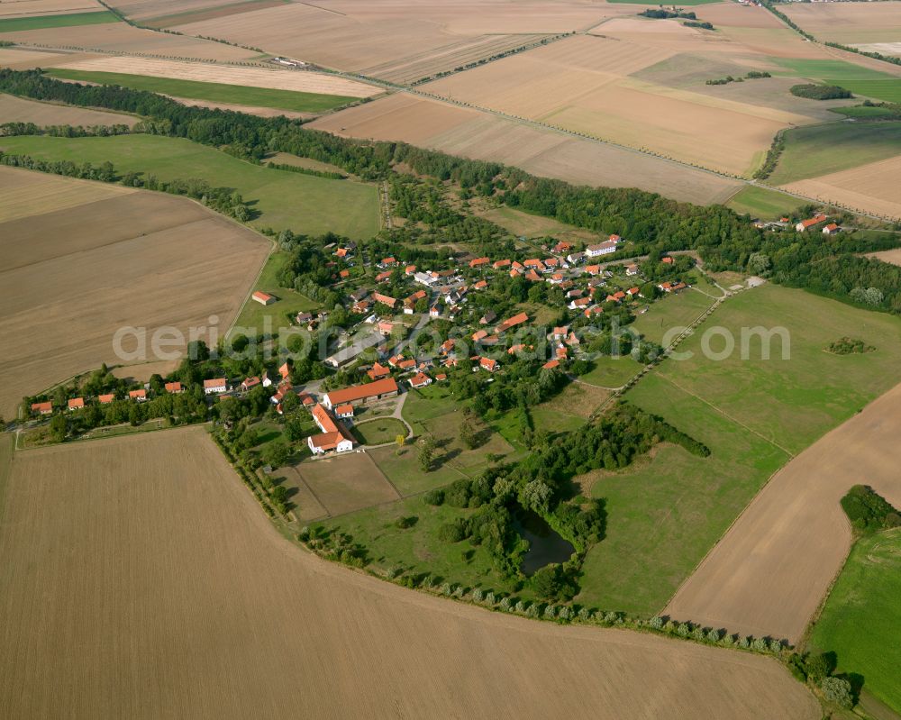 Vienenburg from above - Agricultural land and field boundaries surround the settlement area of the village in Vienenburg in the state Saxony-Anhalt, Germany