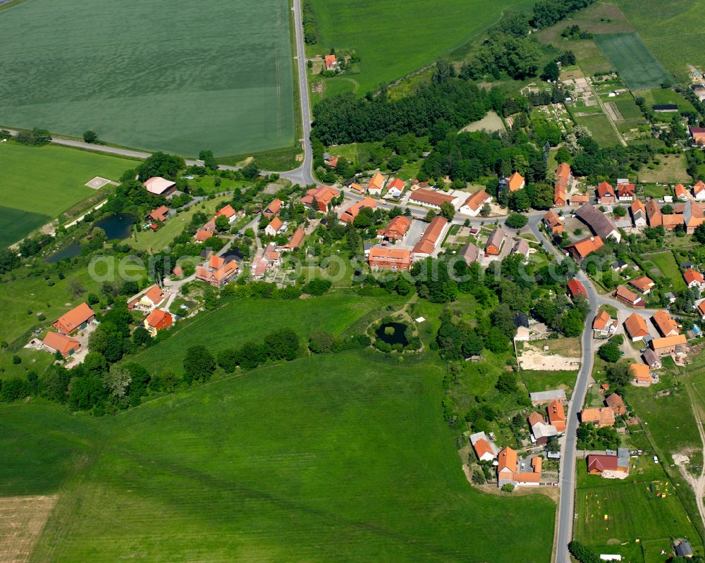 Vienenburg from the bird's eye view: Agricultural land and field boundaries surround the settlement area of the village in Vienenburg in the state Saxony-Anhalt, Germany