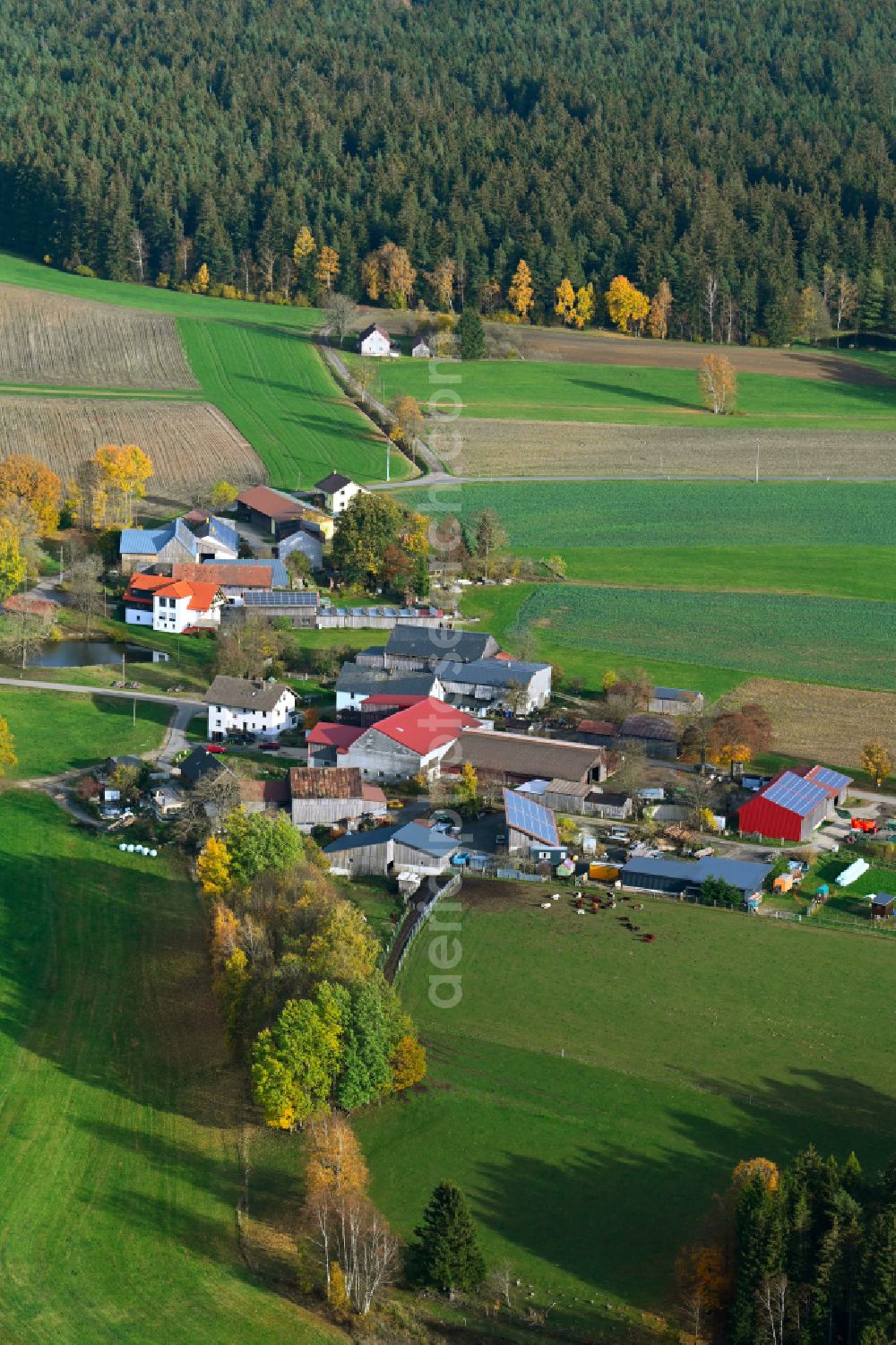 Vierst from the bird's eye view: Agricultural land and field boundaries surround the settlement area of the village in Vierst in the state Bavaria, Germany