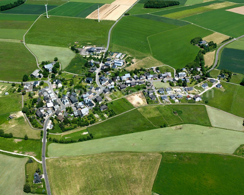 Aerial photograph Wahlenau - Agricultural land and field boundaries surround the settlement area of the village in Wahlenau in the state Rhineland-Palatinate, Germany