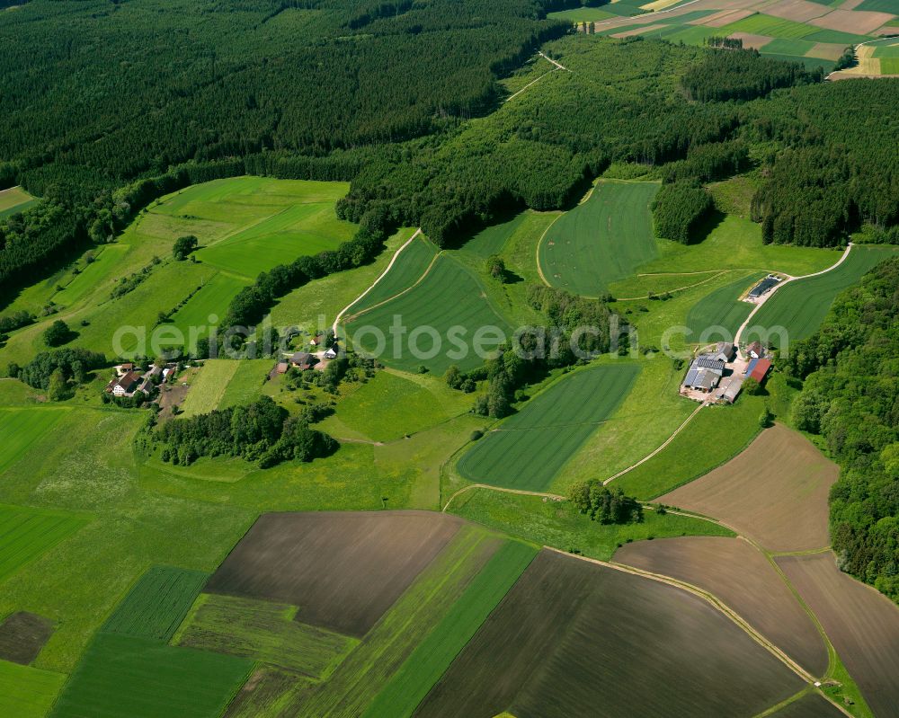 Wain from above - Agricultural land and field boundaries surround the settlement area of the village in Wain in the state Baden-Wuerttemberg, Germany