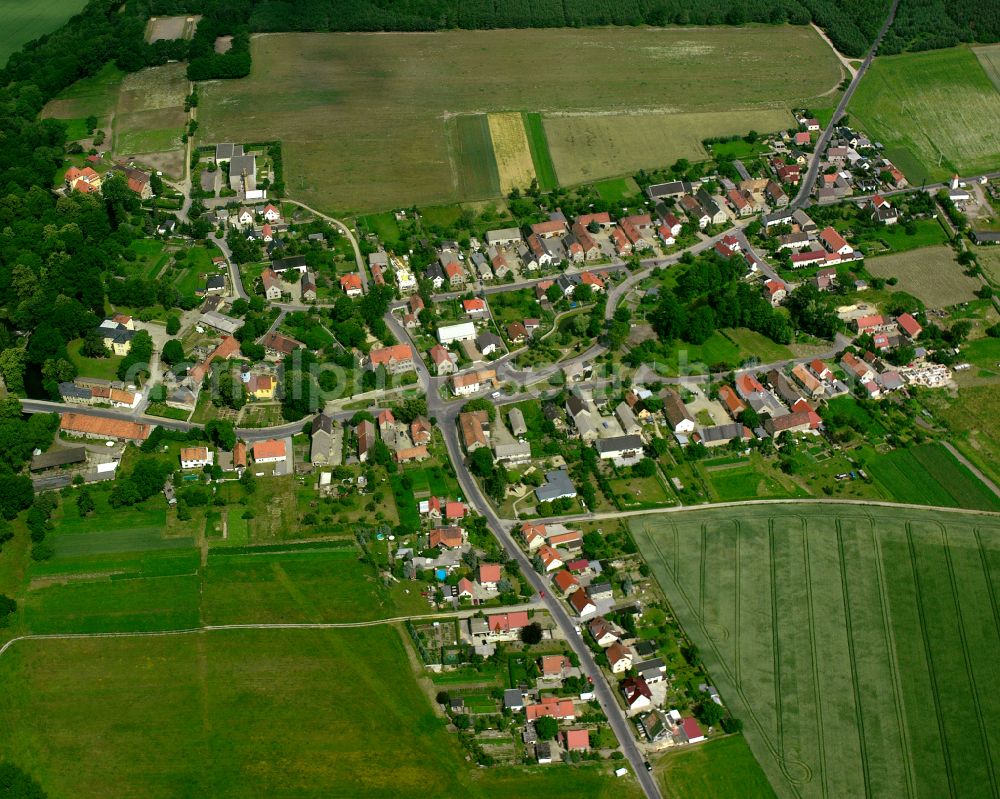 Walda from the bird's eye view: Agricultural land and field boundaries surround the settlement area of the village in Walda in the state Saxony, Germany