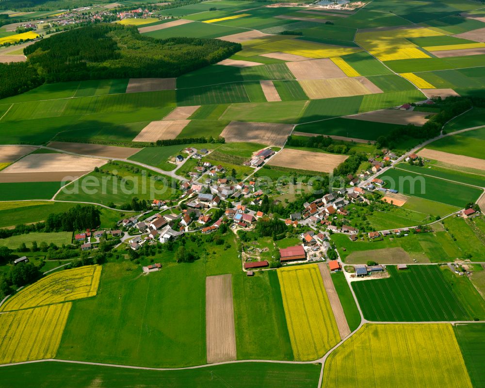 Aerial photograph Waldhausen - Agricultural land and field boundaries surround the settlement area of the village in Waldhausen in the state Baden-Wuerttemberg, Germany