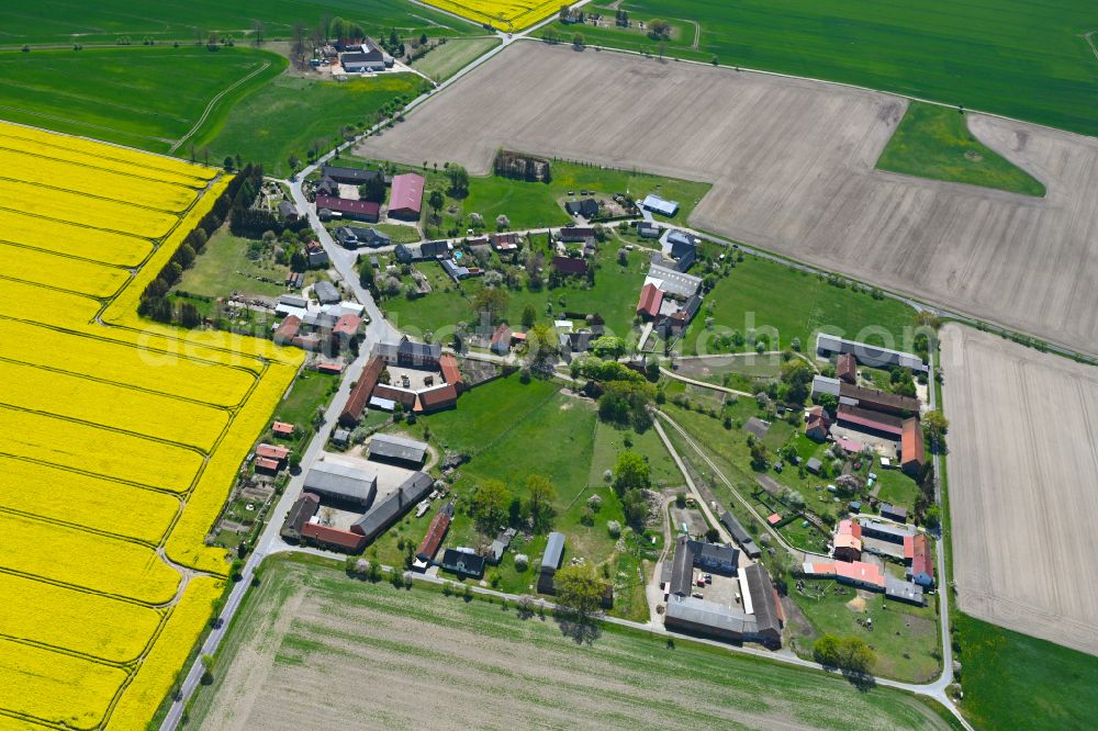 Wallstawe from above - Agricultural land and field boundaries surround the settlement area of the village in Wallstawe in the state Saxony-Anhalt, Germany