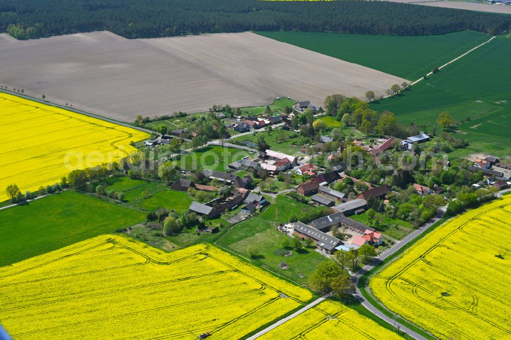 Wallstawe from above - Agricultural land and field boundaries surround the settlement area of the village in Wallstawe in the state Saxony-Anhalt, Germany