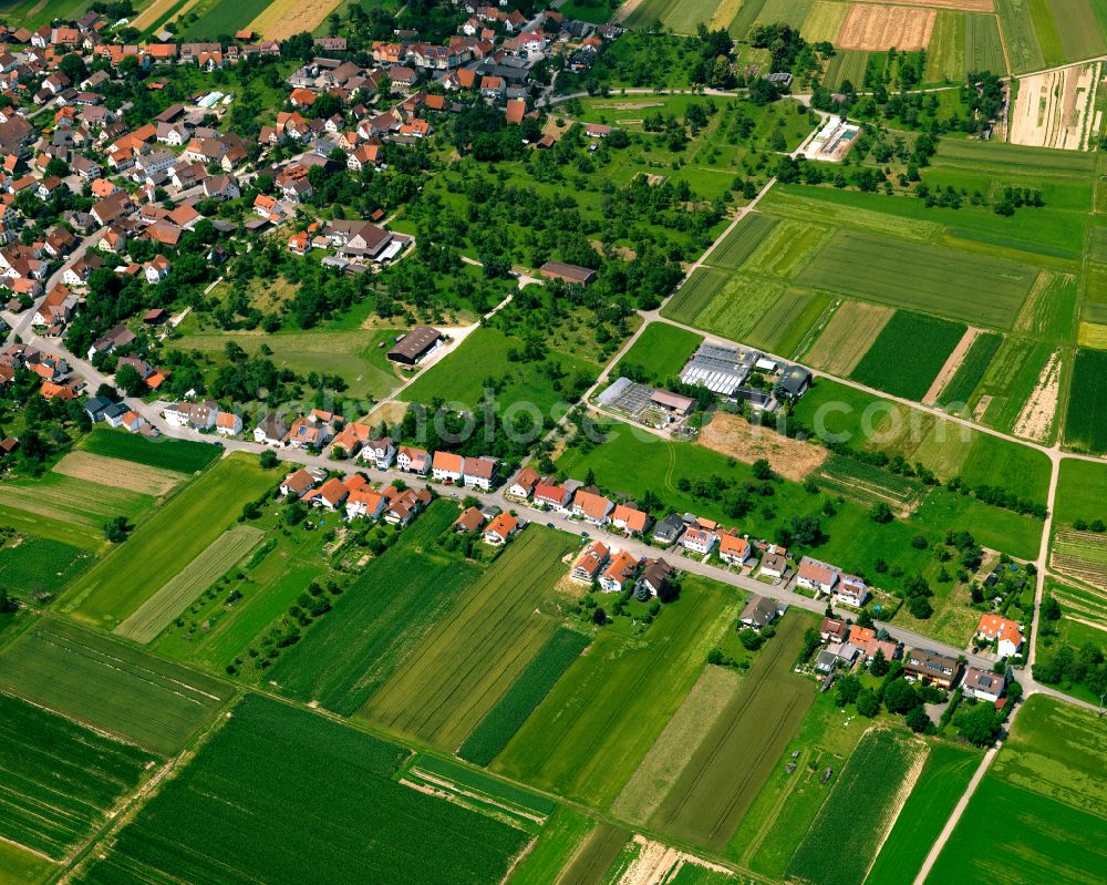 Aerial photograph Wankheim - Agricultural land and field boundaries surround the settlement area of the village in Wankheim in the state Baden-Wuerttemberg, Germany