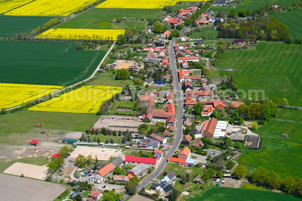 Weddendorf from above - Agricultural land and field boundaries surround the settlement area of the village in Weddendorf in the state Saxony-Anhalt, Germany