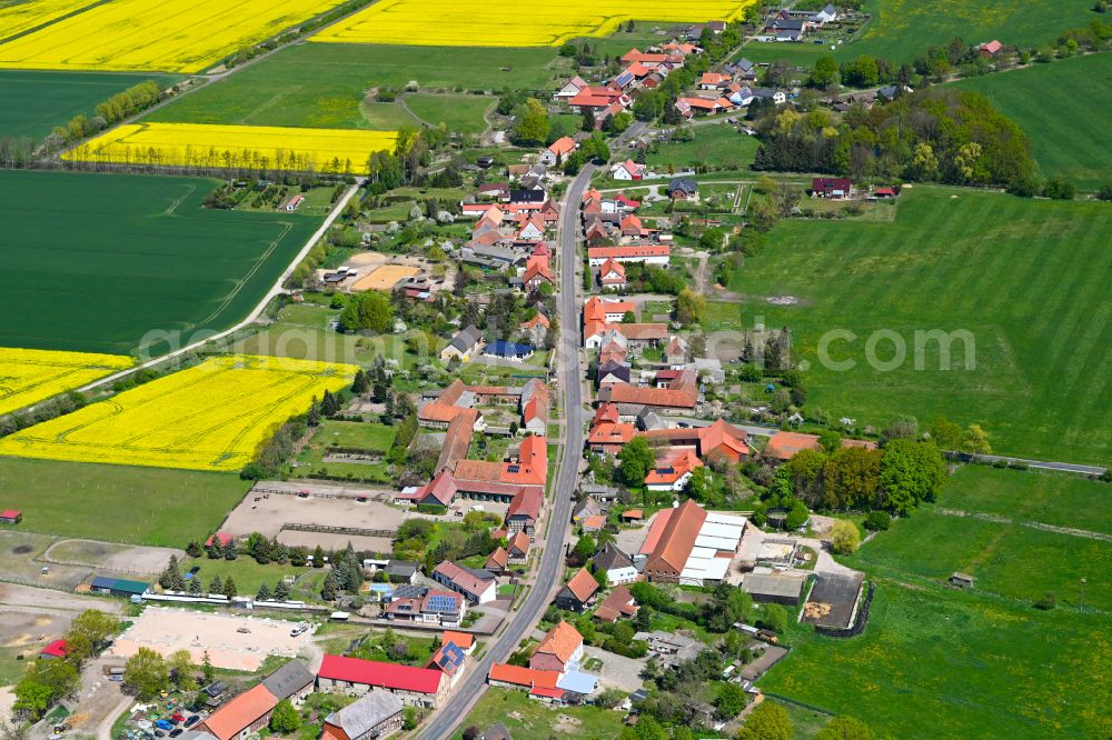 Weddendorf from the bird's eye view: Agricultural land and field boundaries surround the settlement area of the village in Weddendorf in the state Saxony-Anhalt, Germany