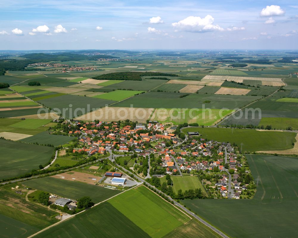 Weddingen from above - Agricultural land and field boundaries surround the settlement area of the village in Weddingen in the state Lower Saxony, Germany