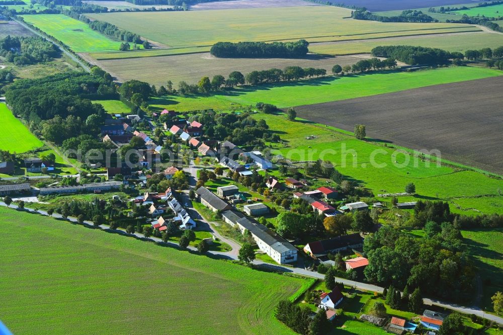 Weitgendorf from the bird's eye view: Agricultural land and field boundaries surround the settlement area of the village in Weitgendorf in the state Brandenburg, Germany