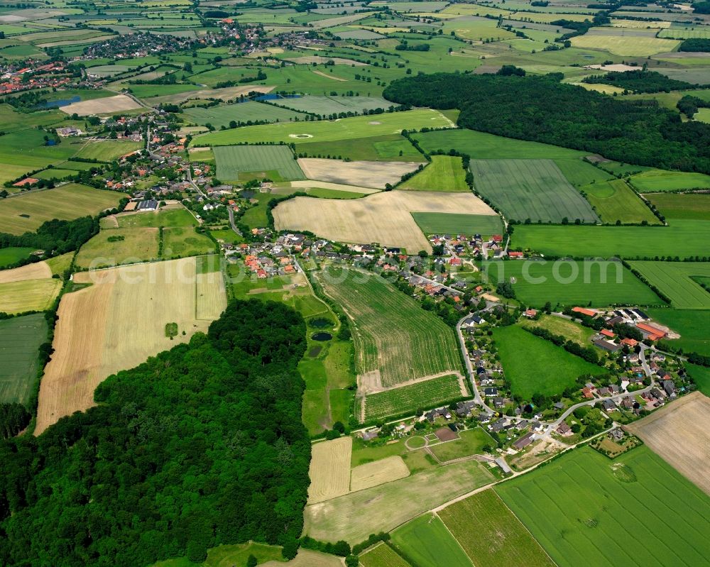 Aerial image Wentorf (Amt Sandesneben) - Agricultural land and field boundaries surround the settlement area of the village in Wentorf (Amt Sandesneben) in the state Schleswig-Holstein, Germany