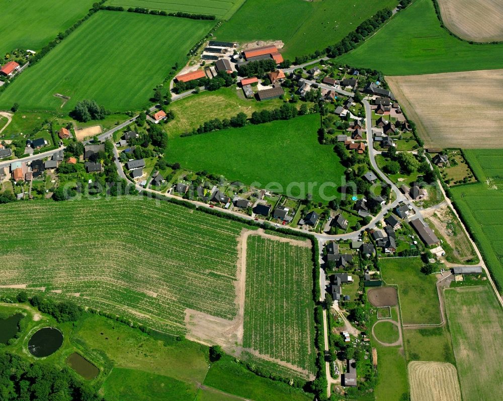 Aerial photograph Wentorf (Amt Sandesneben) - Agricultural land and field boundaries surround the settlement area of the village in Wentorf (Amt Sandesneben) in the state Schleswig-Holstein, Germany