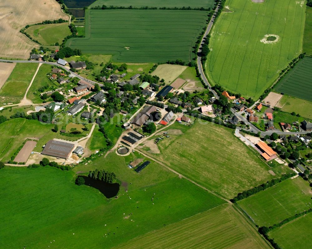 Wentorf (Amt Sandesneben) from the bird's eye view: Agricultural land and field boundaries surround the settlement area of the village in Wentorf (Amt Sandesneben) in the state Schleswig-Holstein, Germany