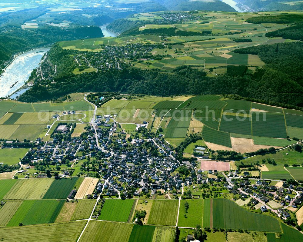 Aerial photograph Werlau - Agricultural land and field boundaries surround the settlement area of the village in Werlau in the state Rhineland-Palatinate, Germany