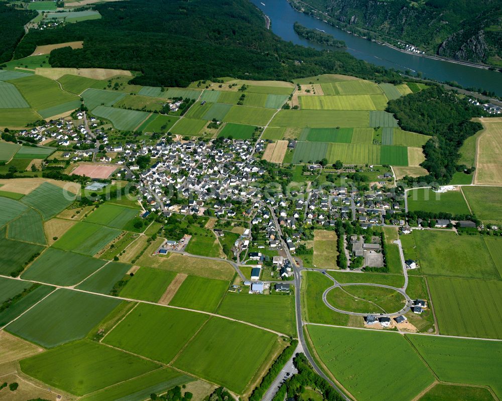 Werlau from above - Agricultural land and field boundaries surround the settlement area of the village in Werlau in the state Rhineland-Palatinate, Germany