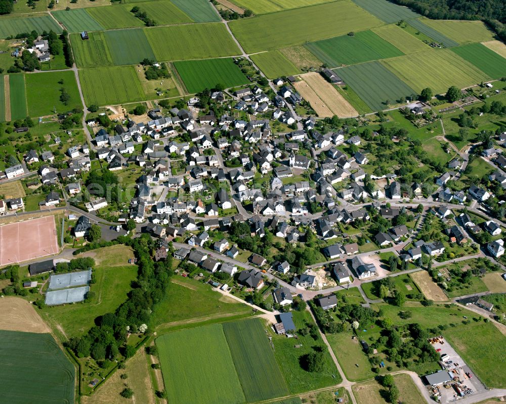 Aerial image Werlau - Agricultural land and field boundaries surround the settlement area of the village in Werlau in the state Rhineland-Palatinate, Germany