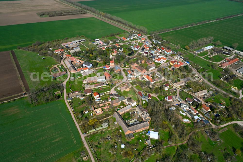 Wettin from above - Agricultural land and field boundaries surround the settlement area of the village in Wettin in the state Saxony-Anhalt, Germany