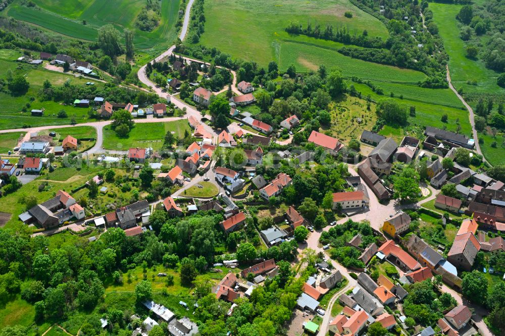 Aerial image Wettin - Agricultural land and field boundaries surround the settlement area of the village in Wettin in the state Saxony-Anhalt, Germany