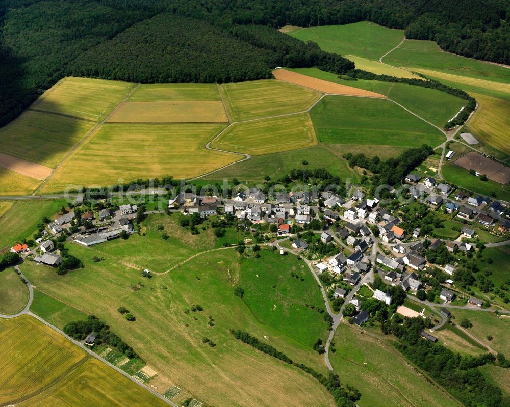 Wickenrodt from the bird's eye view: Agricultural land and field boundaries surround the settlement area of the village in Wickenrodt in the state Rhineland-Palatinate, Germany