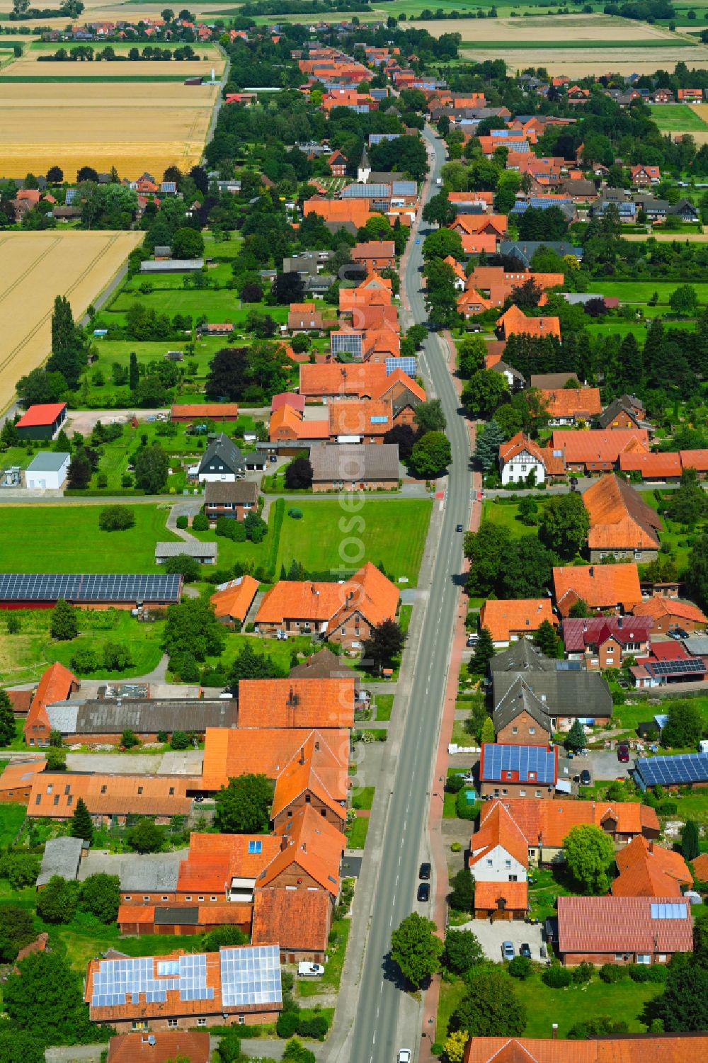 Aerial photograph Wiedensahl Flecken - Agricultural land and field boundaries surround the settlement area of the village in Wiedensahl Flecken in the state Lower Saxony, Germany