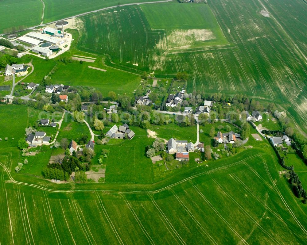 Aerial photograph Wiederau - Agricultural land and field boundaries surround the settlement area of the village in Wiederau in the state Saxony, Germany