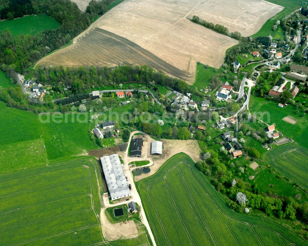 Wiederau from above - Agricultural land and field boundaries surround the settlement area of the village in Wiederau in the state Saxony, Germany