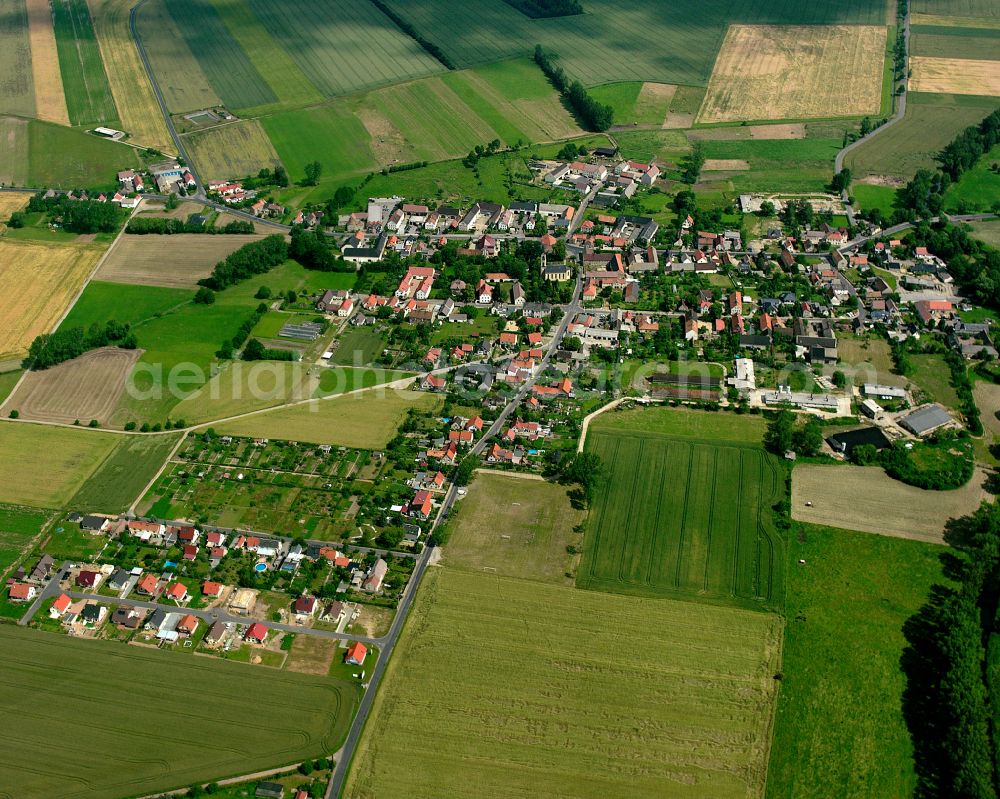 Wildenhain from above - Agricultural land and field boundaries surround the settlement area of the village in Wildenhain in the state Saxony, Germany