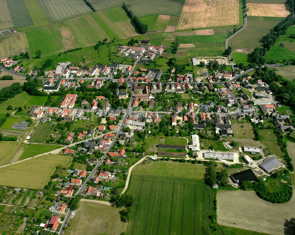 Wildenhain from the bird's eye view: Agricultural land and field boundaries surround the settlement area of the village in Wildenhain in the state Saxony, Germany