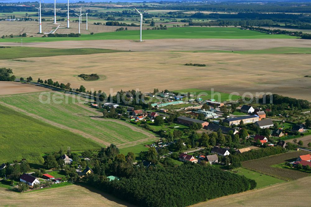 Aerial photograph Wilhelmshof - Agricultural land and field boundaries surround the settlement area of the village in Wilhelmshof Uckermark in the state Brandenburg, Germany