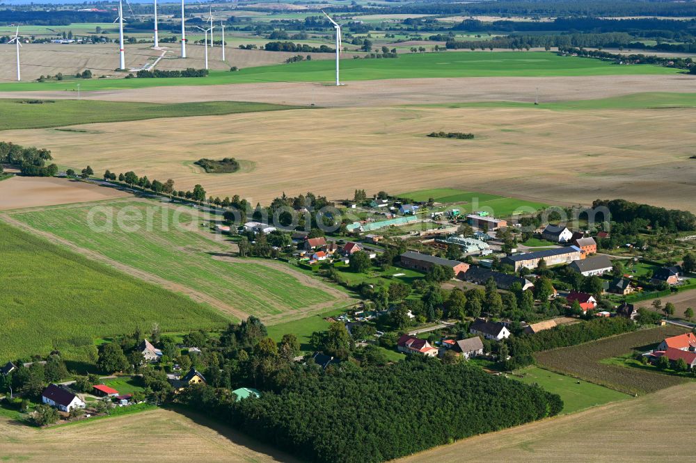 Wilhelmshof from above - Agricultural land and field boundaries surround the settlement area of the village in Wilhelmshof Uckermark in the state Brandenburg, Germany